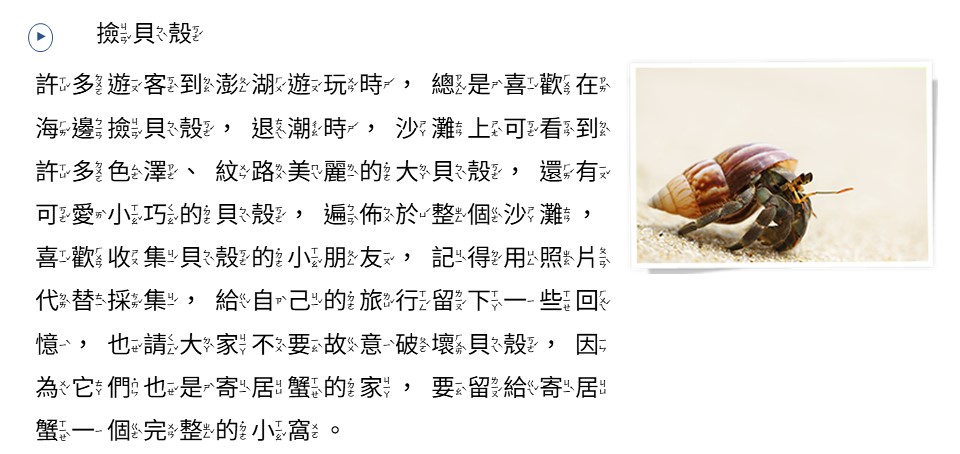 撿貝殼